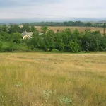 Vincellér Kiralyszentistvan