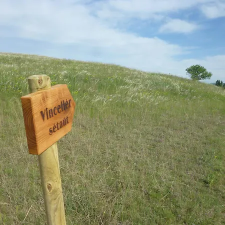 Vinceller Vendeghaz Σπίτι διακοπών Kiralyszentistvan