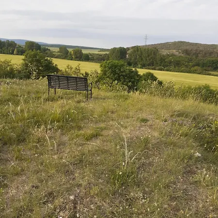 Vinceller Vendeghaz